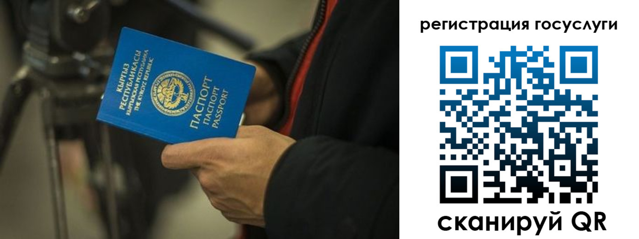 регистрация в Брянской области